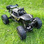 1/8 Large RC Car 4WD Remote Control Monster Truck Rock Crawler Climbing Buggy