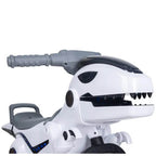 Toddler 12V Ride on Motorcycle with Remote Dinosaur Soft Start Car Bluetooth Motorcycle