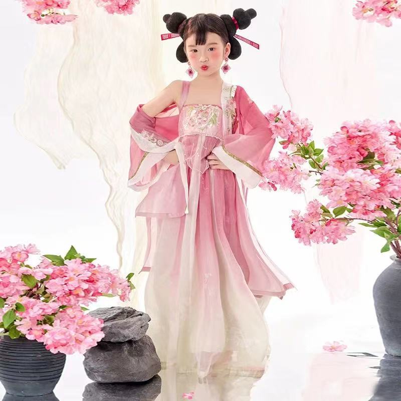 Girls Shiji Niangniang Costume Traditiona Hanfu Tang Dynasty Dress Wig for Cosplay