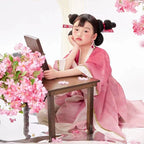 Girls Shiji Niangniang Costume Traditiona Hanfu Tang Dynasty Dress Wig for Cosplay