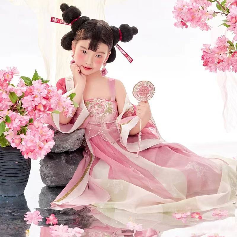 Girls Shiji Niangniang Costume Traditiona Hanfu Tang Dynasty Dress Wig for Cosplay
