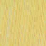 Girls Zombies Outfit Vampire Nova Tops Vest Pants 3pcs Suit for Cosplay Carnival