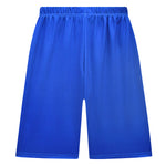 Girls Addison Costume Blue T-shirt and Shorts Causal Suit for Daily Wear