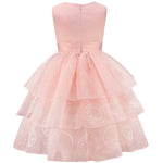 Pink Witch Dress Girls Sequin Tulle Gown with Layered Skirt Elegant Princess Costume
