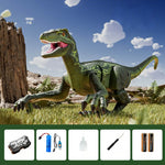 2.4G Remote Control Dinosaur Spray Dino Toy with Removable Tail Holiday Gift