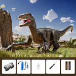2.4G Remote Control Dinosaur Spray Dino Toy with Removable Tail Holiday Gift