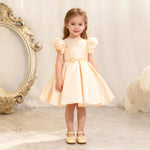 Toddler Christmas Party Dress Formal Puff Sleeve Xmas Smocked Green Costume for Girls