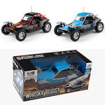 1/16 Simulation RC Car 4WD High Speed Off-Road Vehicle Special Assault Vehicles