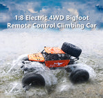 1/8 Amphibious RC Car Big IP66 Water Monster Vehicle 4WD Remote Control Off-road Truck