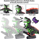 2.4G RC Dinosaur 360° Rotation Spray T-Rex with LED Light Up Realistic Dinosaur Toys