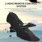 2.4Ghz RC Airplane Remote Control Eagle Wingspan Eagle Bionic Aircraft RC Glider