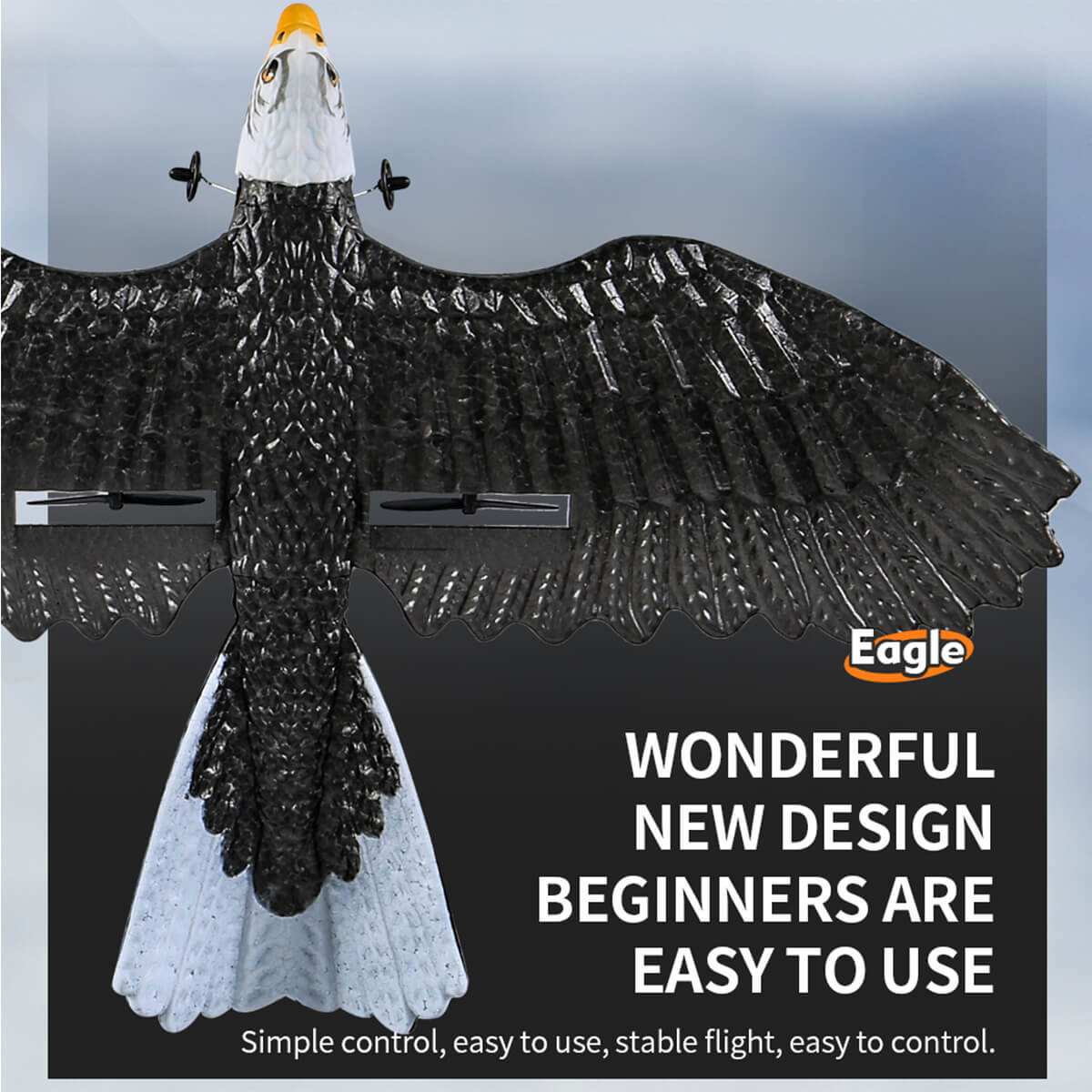 2.4Ghz RC Airplane Remote Control Eagle Wingspan Eagle Bionic Aircraft RC Glider