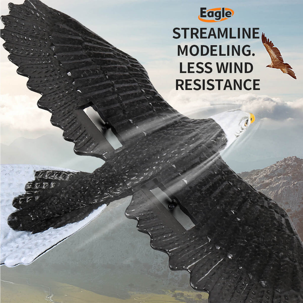2.4Ghz RC Airplane Remote Control Eagle Wingspan Eagle Bionic Aircraft RC Glider