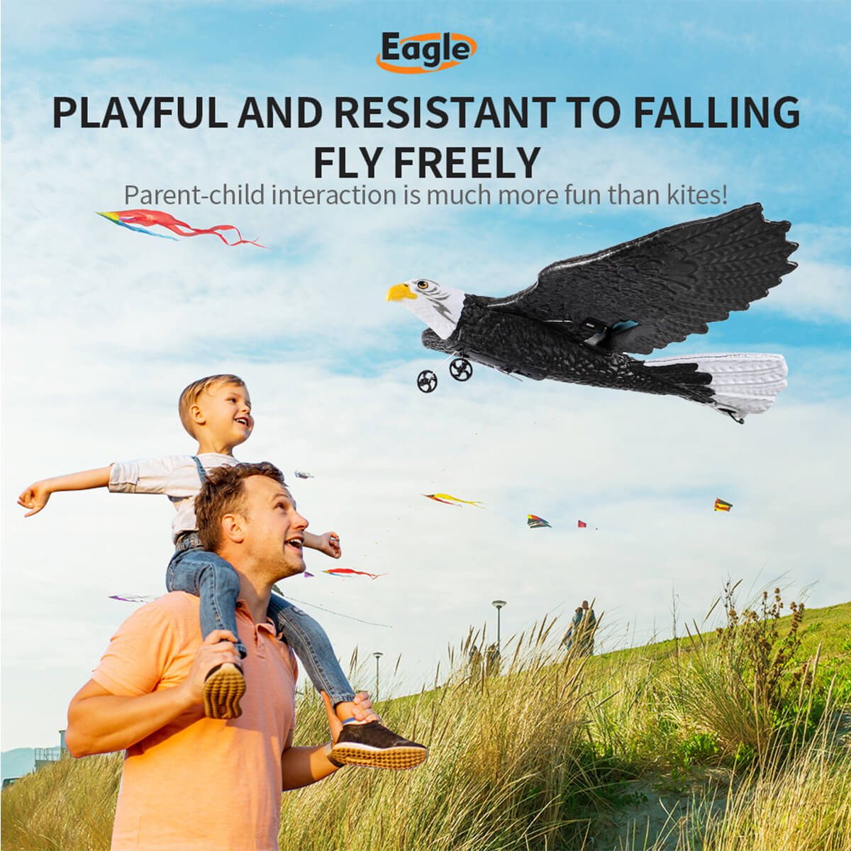 2.4Ghz RC Airplane Remote Control Eagle Wingspan Eagle Bionic Aircraft RC Glider