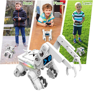 Kids RC Robot Smart Space Robot Dog Remote Control Robot Boys Girls RC Toys Birthday Gift