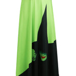 Wicked Elphaba Costume 2024 Women Wicked Witch Dress Plus Size Halloween Costume