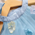 Flower Girl Dresses Cute Blue Sleeveless Tulle Princess Party Dress with 3D Floral Appliques