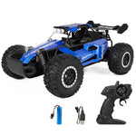 1/16 RC Car 20KM/H Fast Speed Off-road Vehicle 2.4G Alloy Monster Climbing Car