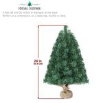 20inch Mini Christmas Tree with 30 Lights Tiny Christmas Tree Battery Operated Tabletop Decoration
