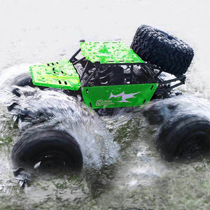 1/8 Amphibious RC Car Big IP66 Water Monster Vehicle 4WD Remote Control Off-road Truck