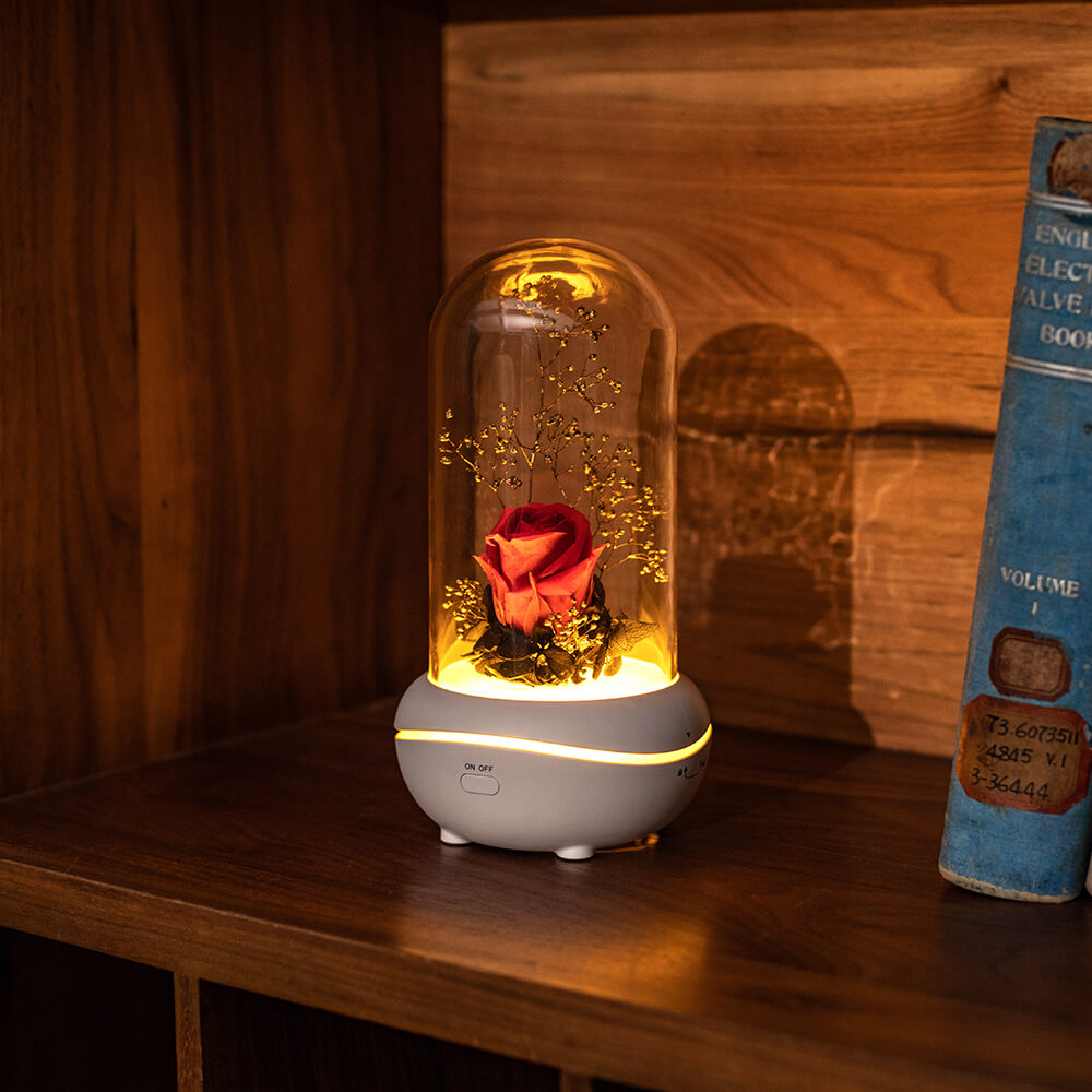 Rose Lamp Scented Oil Diffuser Aromatherapy Christmas LED Lamp Fragrance Oil Diffuser