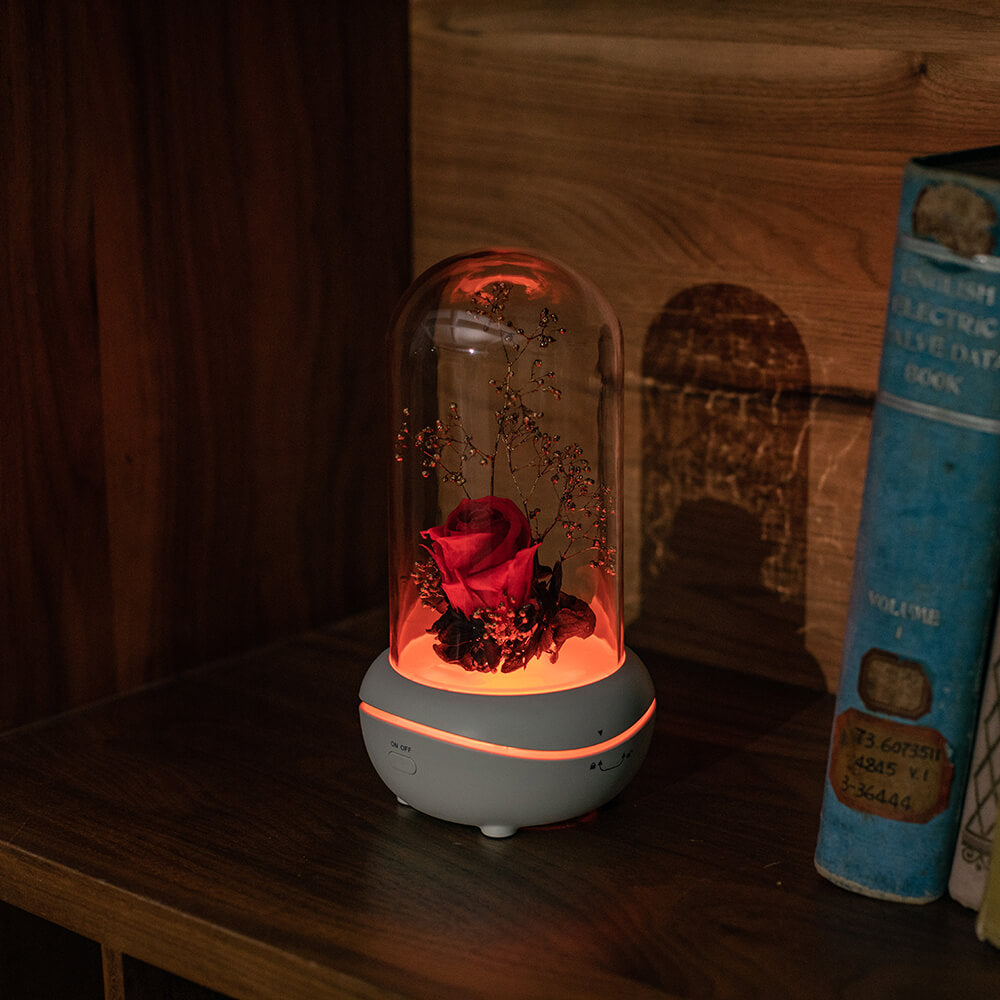 Rose Lamp Scented Oil Diffuser Aromatherapy Christmas LED Lamp Fragrance Oil Diffuser