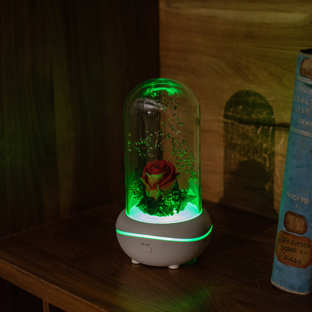 Rose Lamp Scented Oil Diffuser Aromatherapy Christmas LED Lamp Fragrance Oil Diffuser