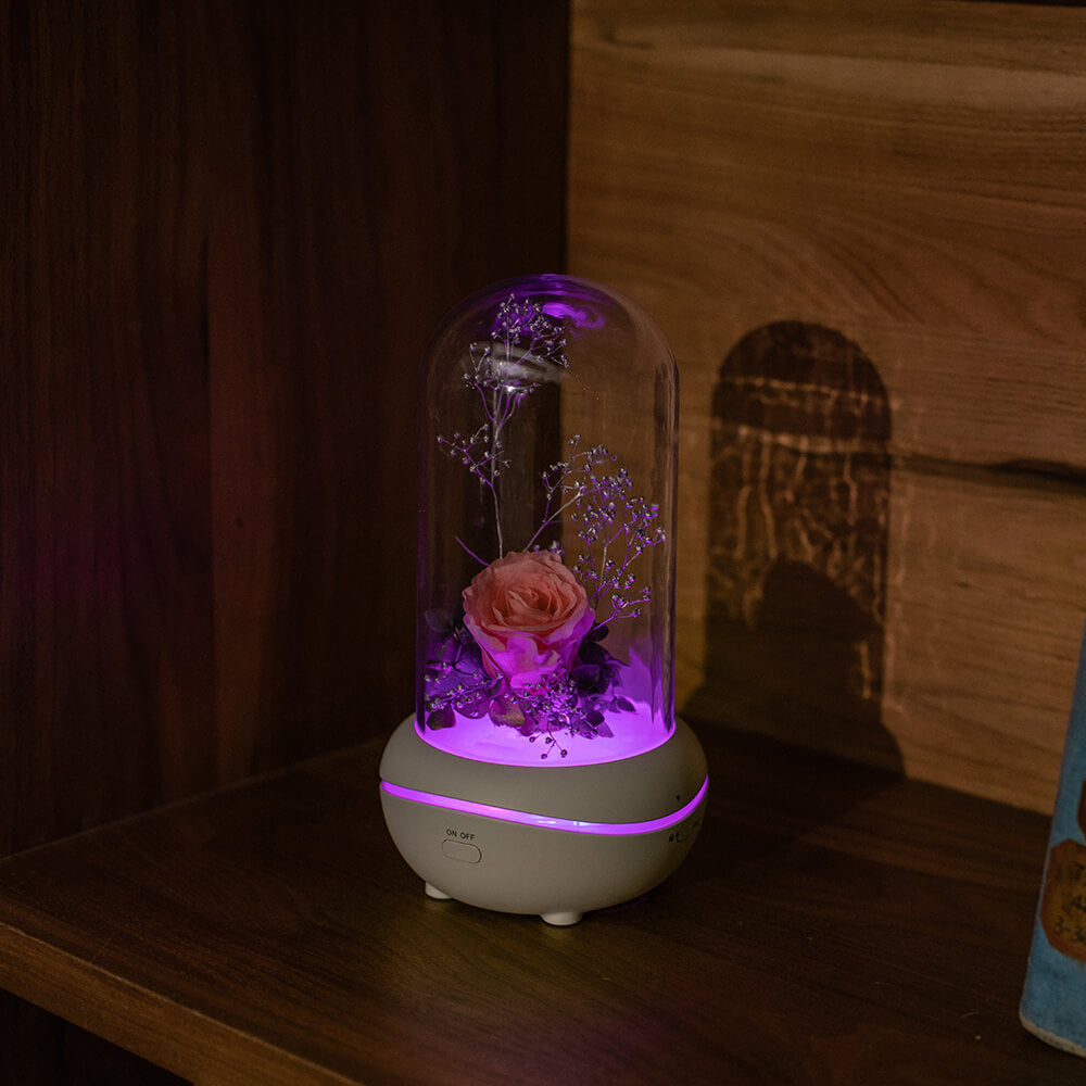 Rose Lamp Scented Oil Diffuser Aromatherapy Christmas LED Lamp Fragrance Oil Diffuser