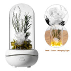 Rose Lamp Scented Oil Diffuser Aromatherapy Christmas LED Lamp Fragrance Oil Diffuser