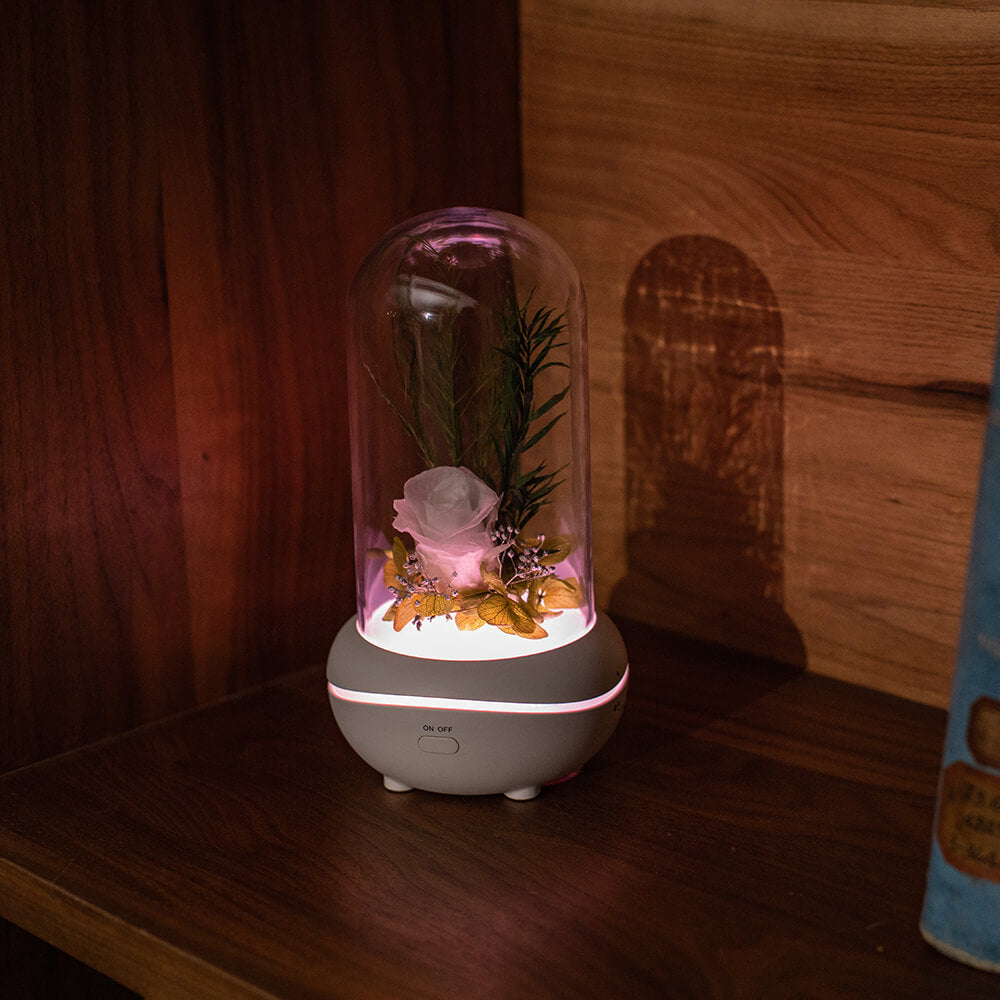 Rose Lamp Scented Oil Diffuser Aromatherapy Christmas LED Lamp Fragrance Oil Diffuser