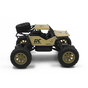 1/18 RC Car 2.4G Off Road Remote Control Truck Buggy Climbing Toy For Kids
