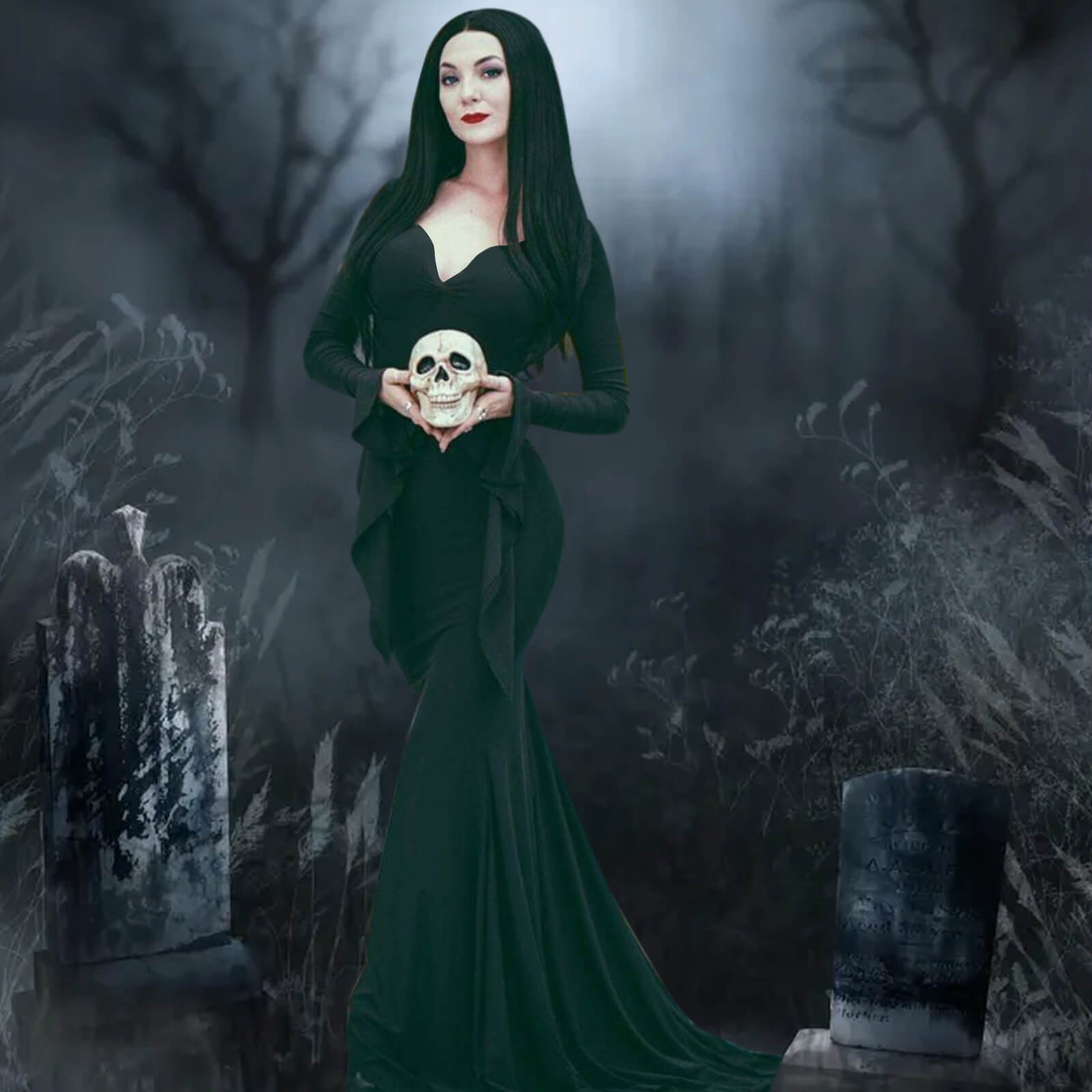 Morticia Addams Dress Adult Floor Length Evening Gown Costume Black Go