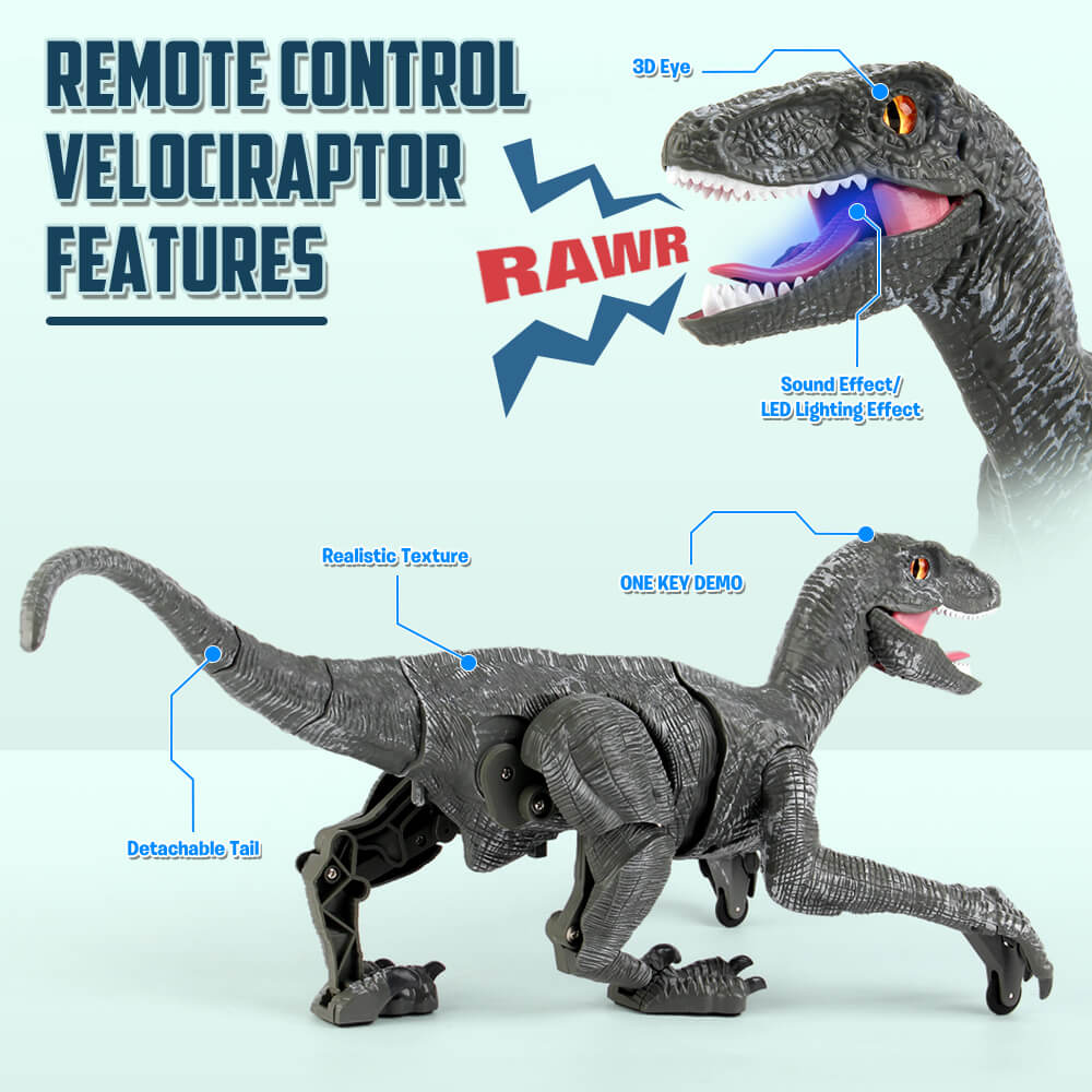 Kids RC Dinosaur Toys Roaring Velociraptor with Lights and Sound Electronic Dinosaur Robot