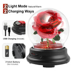 Rose Light Aromatherapy Oil Diffuser Christmas LED Rose Lamps