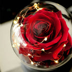 Rose Light Aromatherapy Oil Diffuser Christmas LED Rose Lamps