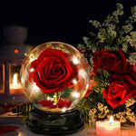 Rose Light Aromatherapy Oil Diffuser Christmas LED Rose Lamps