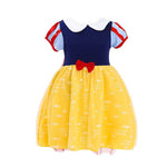 Princess Style Dresses For Little Girls Age 3-8 Birthday Costume or Photo Shoot