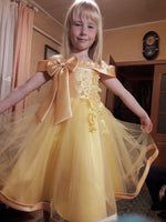 Flower Girl Dress Pageant Dresses Sequin Ruffles Tulle Dress
