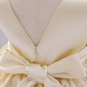 0-24M New Born Baby Girl Flower Dress Elegent Prom Wedding Bridesmaid Backless Dress