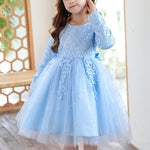 Girls Long Sleeve Flower Dress Multi-layer Lace Tulle Thick Pageant Dresses