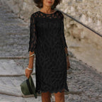 Solid Lace Panel Round Neck Hollow Zipper Back Dress