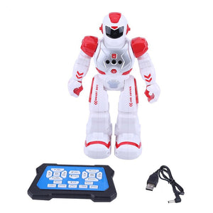 Intelligent Programmable RC Robot Gesture Sensor 2.4G RC Smart Robot Educational Kids Toys