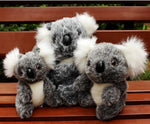 Cute Small Koala Bear Plush Toys Adventure Koala Doll Gift