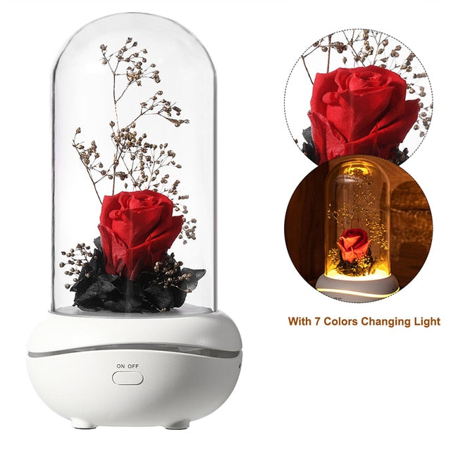 Rose Lamp Scented Oil Diffuser Aromatherapy Christmas LED Lamp Fragrance Oil Diffuser