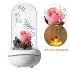 Rose Lamp Scented Oil Diffuser Aromatherapy Christmas LED Lamp Fragrance Oil Diffuser