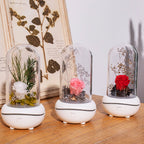 Rose Lamp Scented Oil Diffuser Aromatherapy Christmas LED Lamp Fragrance Oil Diffuser