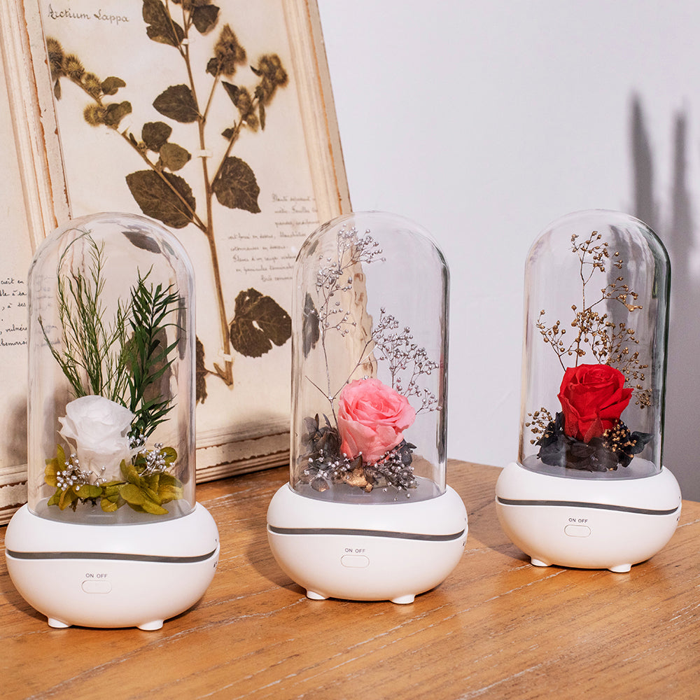 Rose Lamp Scented Oil Diffuser Aromatherapy Christmas LED Lamp Fragrance Oil Diffuser