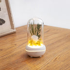 Rose Lamp Scented Oil Diffuser Aromatherapy Christmas LED Lamp Fragrance Oil Diffuser