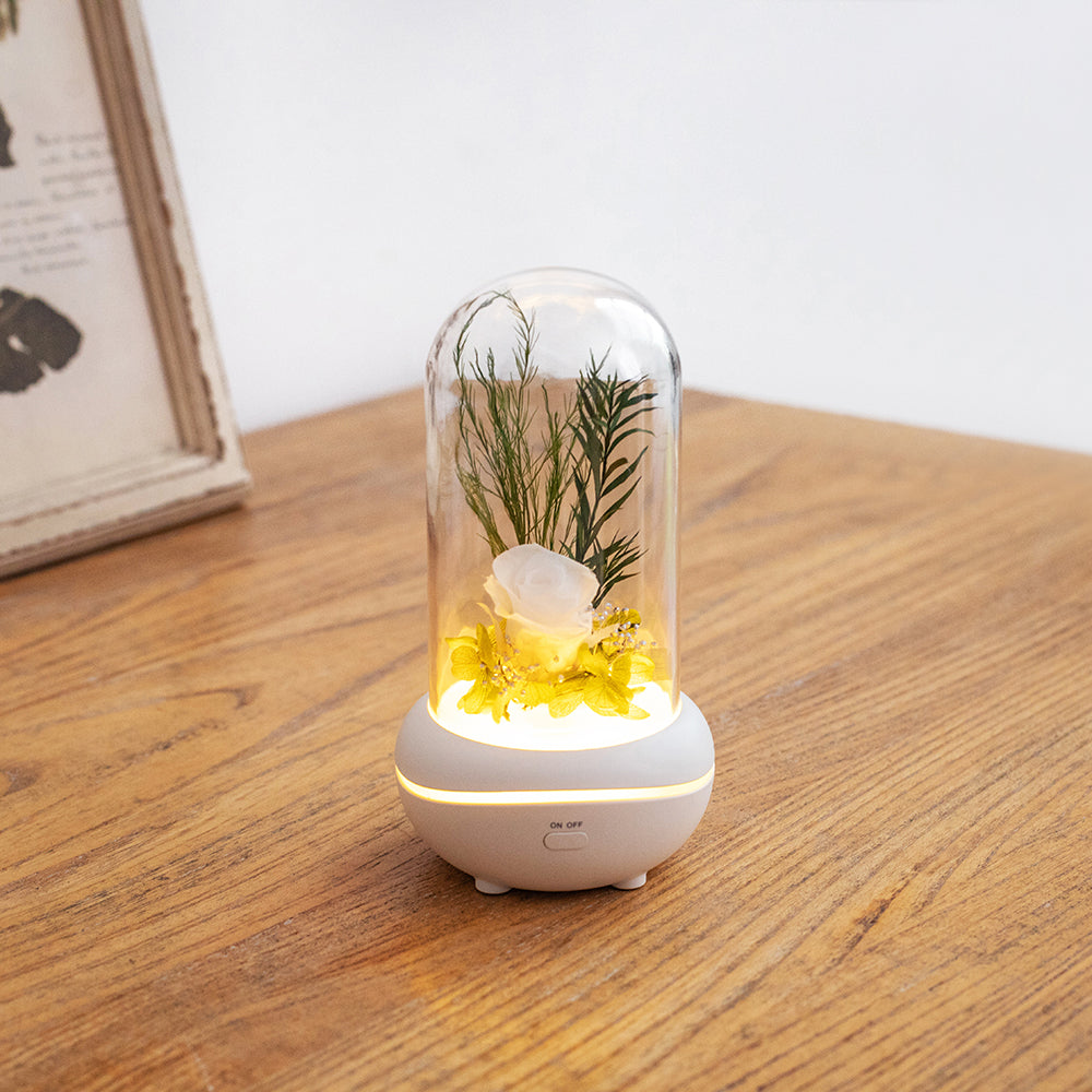 Rose Lamp Scented Oil Diffuser Aromatherapy Christmas LED Lamp Fragrance Oil Diffuser