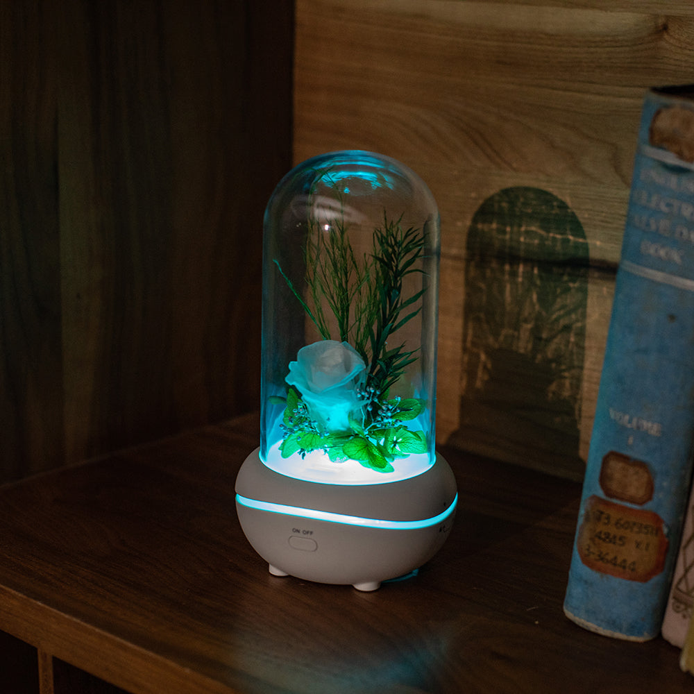 Rose Lamp Scented Oil Diffuser Aromatherapy Christmas LED Lamp Fragrance Oil Diffuser